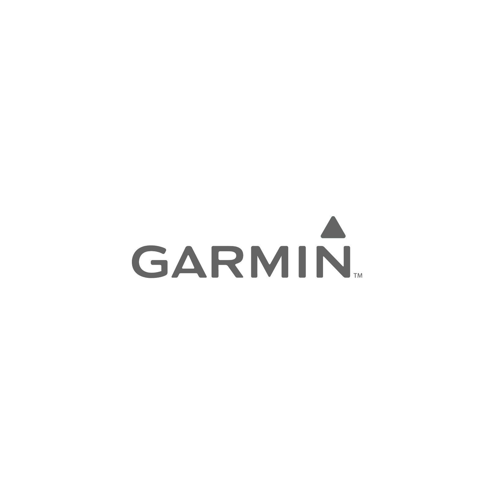 Garmin RMG